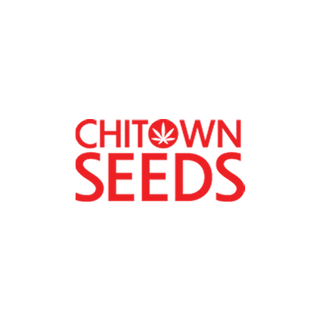 chitown_-_website_version_5.png